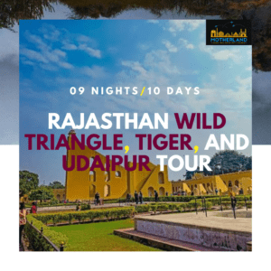 Rajasthan Wild Triangle, Tiger, and Udaipur Tour 2023