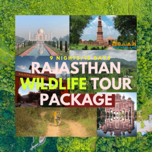 Rajasthan Wildlife Tour Package 2023