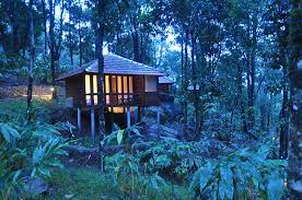 Ever Green Wayanad Experience- 03 Nights and 04 Days
