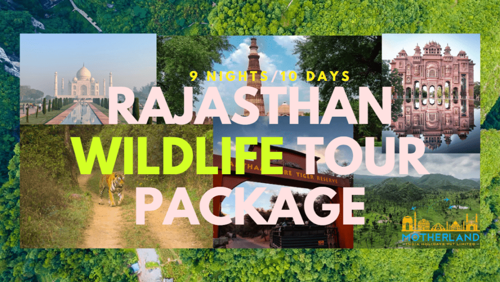 10Days/9Nights-Rajasthan Wildlife Tour Package 2023